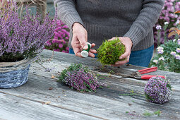 Tying a heather ball from budding heather and moss