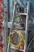 Wreaths of switchgrass, elephant grass, and Chinese silver grass on a wooden ladder, pots with echeveria