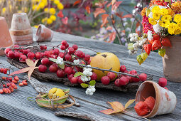 Ornamental apples, quince, and snowberries on bark, ornamental quince in Chinese silver grass, and lanterns in a clay pot