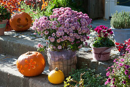 Chrysanthemum and cyclamen wrapped in felt, carved pumpkins, and yellow gourde