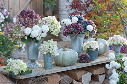 Herbststräuße aus Hortensienblüten und Chrysanthemen in Zinkvasen, silbergraue Speisekürbisse