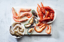 Seafood-Stillleben: Flusskrebse, Shrimps und Grünlippmuscheln