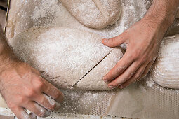 Brown bread being made: surface of dough being scored