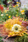 Schale mit bunt gemischtem Herbstlaub und Zierkürbis