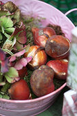 Bowl with tulip bulbs and hydrangea flowers