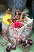 Box with daffodil bulbs and flowers of marigold and mallow, hyacinth bulbs in front of it