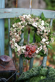 Herbstkranz aus Efeu, Fetthenne und Schneebeeren mit Tulpenzwiebeln