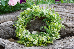 Kranz aus Ligusterblüten, strahlenloser Kamille und Blättern der Schafgarbe