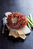 Cheese ball with cheddar and fried bacon