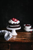 Chocolate cake with raspberries