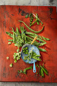 Different types of beans and pea pods