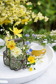 Cups with spring blossoms: horned violets, daffodils, forget-me-nots, lilies of the valley, and buttercups