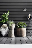 Pflanzen in rustikalen Übertöpfen an Hauswand mit grauer Verkleidung