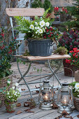 Zinc planter with Christmas rose, snowberries and fern, storm lanterns