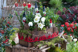 Japanese pod and Christmas rose in a wooden box, bark, twigs, moss, Christmas gnome and decorative felt ribbon