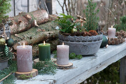 Christmas decorations with candles on wooden discs and bowl with small white spruce, fern, cones, and Christmas tree decorations