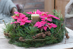 Wreath with poinsettias and conifer branches