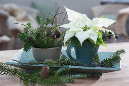 Christmas table decoration with small bouquets of poinsettia and fir branches on a wooden bowl
