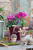 Autumn arrangement with budding heather, cyclamen, ornamental cabbage, heather wreath and heather ball, pot with stick labels