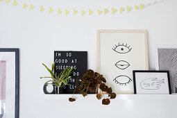 Foliage plants and pictures on floating shelf