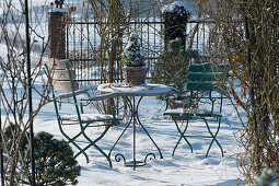 Kleine Sitzgruppe im verschneiten Garten, Körbe mit Kiefern und Zuckerhutfichte