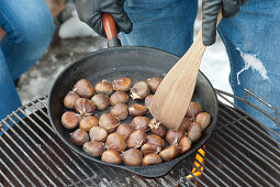 Roasting chestnuts in an iron pan on the barbecue