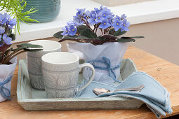 African violets wrapped in paper and decorated with wool yarn on a wooden tray, mugs, napkins, and spoons
