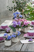 African violets in enameled pots as table decoration