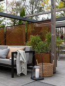 Outdoor sofa below wooden pergola with screen