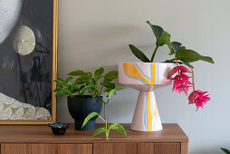 Indoor flowers and a picture on a sideboard