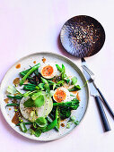 Green Salad with Beans, Apple, Soft Boiled Egg, Miso and Maple Dressing