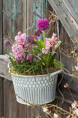 Pot with hyacinths, checkerboard flowers, globe primroses, and grape hyacinths