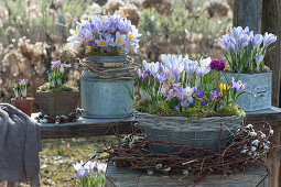 Pot arrangement with basket and zinc planters: crocuses, hyacinths and globe primroses, wreath of catkin willow