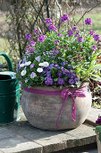 Spring arrangement: 'Improved Winter Joy', filled primrose Belarina 'Candy Frost', Tausendschon Rose, horned violet, and Pulmonaria 'Silver Bouquet