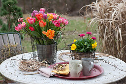 Bouquet of filled flowering tulips and pot with horned violets and Tausendschon Rose in wire baskets on the garden table