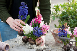 Bouquet of hyacinths with bulbs: A woman assembles hyacinths with bulbs to a bouquet