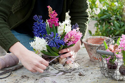 Bouquet of hyacinths with bulbs: Woman tying hyacinths with bulbs to make a bouquet