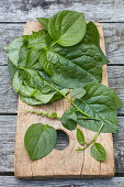 Basella alba or Malabar spinach leaves on cutting board on grey wood