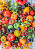 Various tomatoes