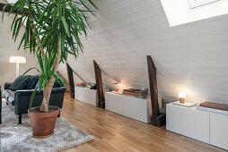 Low sideboard, yucca palm and black leather couch in attic room with white wooden ceiling