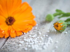 A marigold on a wooden surface