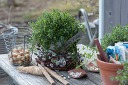 Savory in wickerwork made of pussy willow, basket with onions, string, garden labels, and bean seeds, message: All beans