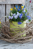 Pot with horned violets, Balkan anemone, grape hyacinths, and daffodils in a wreath of clematis vines