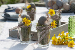 Easter table decoration: Easter eggs on glasses with moss, decorated with dandelion blossoms, feathers and ribbon, and cowslip lying on the table