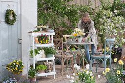 Small seating group on the Easter terrace, a woman brings a bouquet of daffodils as a table decoration