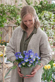 Woman with horned violet 'Blue Moon' in a zinc pot