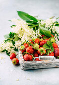 Strawberries and elderflowers