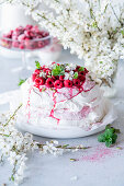 Pavlova with raspberries