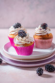 Cupcakes with blackberry cream cheese icing and blackberries