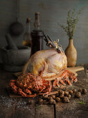 Still life with black footed chicken, spider crab, Norway lobster, and snails